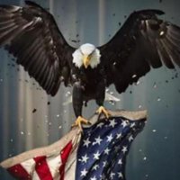THEGRINGO'SBEAST (@thegringobeast) 's Twitter Profile