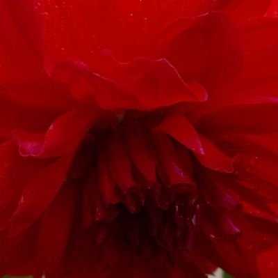 siddharthkk's profile picture. agra