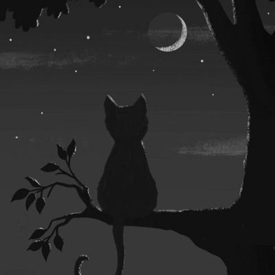 Cimpuz's profile picture. I draw and make games for fun.