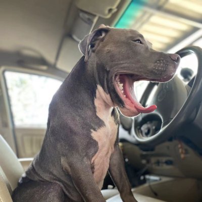 De_LalalAVida's profile picture. 👊不相信会绝望💦DacingInTheRain🎈
☀LiveInTheSky☁🔥时光会把你雕刻成你应有的样子💥ժׁׅ݊ꫀׁׅܻ℘ᥣׁׅ֪ᨵׁׅꪱׁׅꫀׁׅܻ tׁׅꫀׁׅܻ꯱ׁׅ֒ ɑׁׅ֮ꪱׁׅᥣׁׅ֪ꫀׁׅܻ꯱ׁׅ֒ ꫀׁׅܻtׁׅ ꭈׁׅꫀׁׅܻ᥎꫶ׁׅꫀׁׅܻ ժׁׅ݊'ꪱׁׅꪀׁׅ⨍ꪱׁׅꪀ🪐🔔