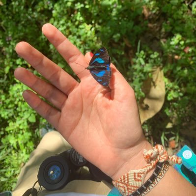 Bióloga 🍃👩🏻‍🔬                           Me gustan los búhos y las montañas de los Andes ⛰️ Manizales, CO 🇨🇴