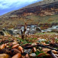 Masoud B2777 (@b2777masoud) 's Twitter Profile