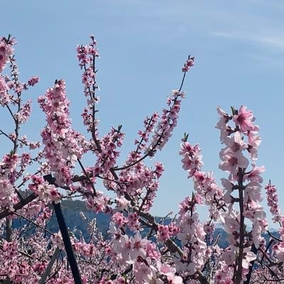 薬剤師 10年目くらい 関西人