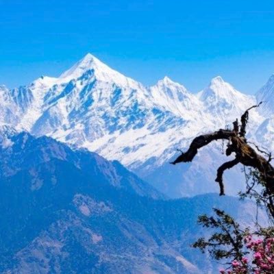 NCCUttrakhand Profile Picture