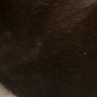 haha (@mewkylez) 's Twitter Profile