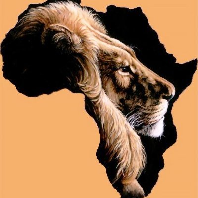 KingstonKI54277's profile picture. It isn't bad as you think.