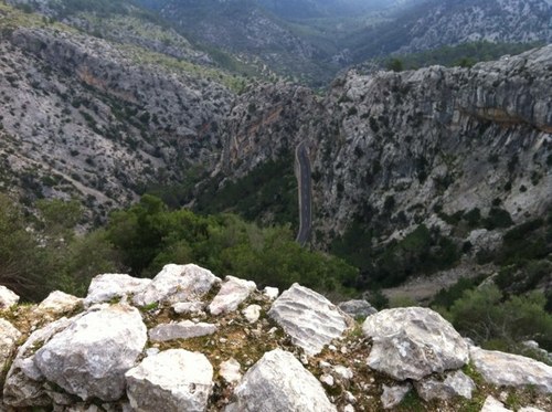 ramontugores's profile picture. 