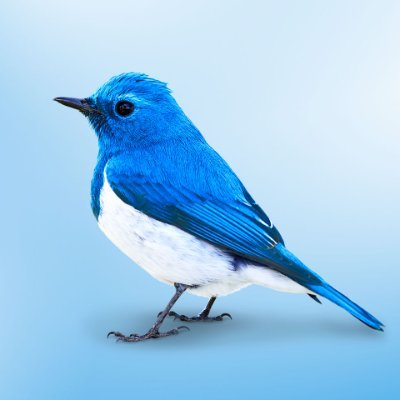 @XTwiter816883