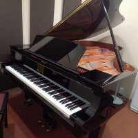 神戸大学ピアノサークル2023 (@kobeunivpiano) 's Twitter Profile