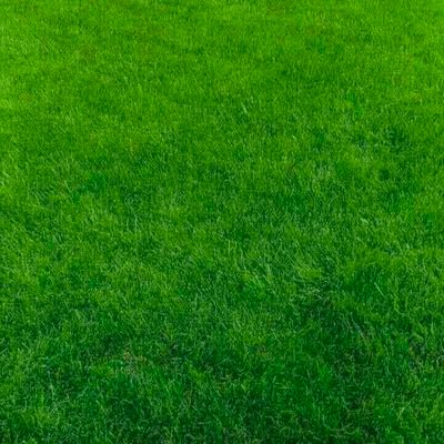 nice31689549's profile picture. 喜欢看书，游山玩水