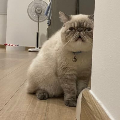 รีวิวนิยาย • การ์ตูน || จีน • เกาหลี • ญี่ปุ่น || แชร์ประโยคที่ชอบจากนิยาย
