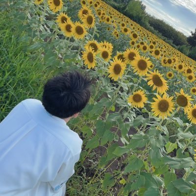 せんちょう🍃🌸🚑さんのプロフィール画像