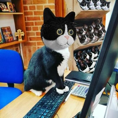 HodgeTheCat Profile Picture