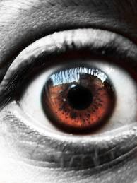 jferrer1978's profile picture. 