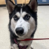 June Munting (@munting_june) 's Twitter Profile Photo June Munting (@munting_june) 's Twitter Profile Photo