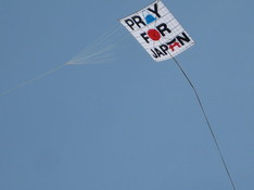 honbumaiku's profile picture. 