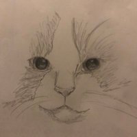 おれねこ🤠🐈 (@oremakebiscuits) 's Twitter Profile