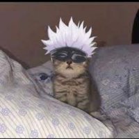 Raido (@raidovl) 's Twitter Profile