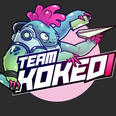 Team Kokediさんのプロフィール画像