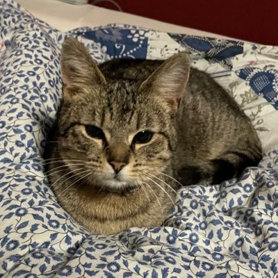 cryptoo1991's profile picture. 