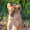Hannahwangechi's profile picture.