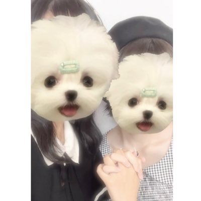 lolx_0's profile picture. 