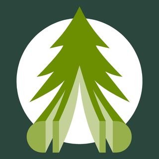 Duncombe Sawmill Ltd Profile