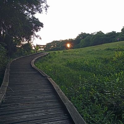 HaroldMoyo_HRE's profile picture. Passionate about Zimbabwe