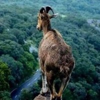 𝐇𝐚𝐲𝐜𝐞 🍁 (@hayce30bg) 's Twitter Profile Photo 𝐇𝐚𝐲𝐜𝐞 🍁 (@hayce30bg) 's Twitter Profile Photo
