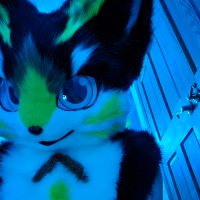 Ash 🦊 (@ash_fenfox_ad) 's Twitter Profile Photo Ash 🦊 (@ash_fenfox_ad) 's Twitter Profile Photo