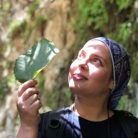 marzieh shirali🟠NFT NYC 2024 (@marziehshirali) 's Twitter Profile