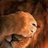 katsu_asiene's profile image