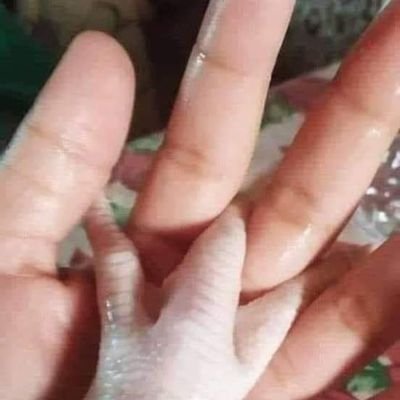 MihailNk's profile picture. 