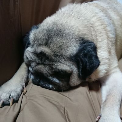 やさかさんのプロフィール画像