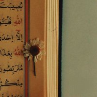 Fatıma (@fat_karaka13965) 's Twitter Profile Photo Fatıma (@fat_karaka13965) 's Twitter Profile Photo
