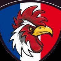 Géraud (@geraudfraget) 's Twitter Profile