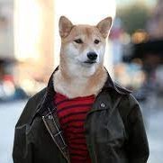 allthetitles's profile picture. Proudly blocked from commenting on science based medicine. Keeping tabs on them anyway because those people are crazy.