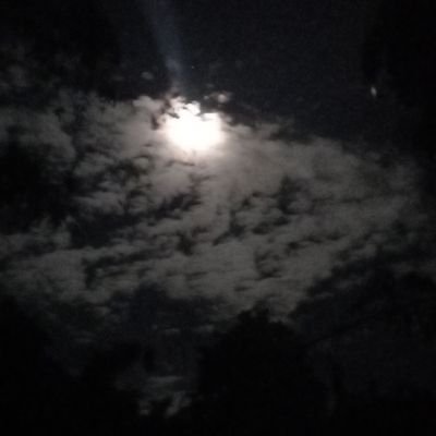 raju_md96255's profile picture. 