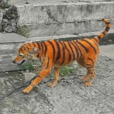 kotn680262's profile picture. 