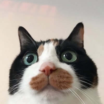 hamsoong's profile picture. 여자만/4B/재테크/노후준비