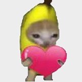 one banana cat (@zhangyuhei34890) 's Twitter Profile