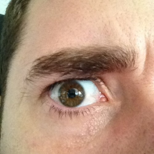 davidadams53's profile picture. fortune favours the bold.