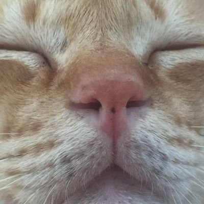 jaeremdacs's profile picture. tragedy