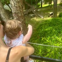 Miriam Becker-Cohen (@mbeckercohen) 's Twitter Profile