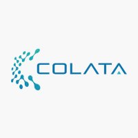 Colata(@Colataio) 's Twitter Profile Photo