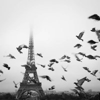 the french Spy / Newsletter EN & FR (soon fall 23) (@thefrspy) 's Twitter Profile