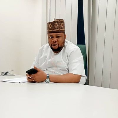 Public Affairs Analyst and Political Strategist