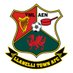 Llanelli Town AFC (@LlanelliReds) Twitter profile photo