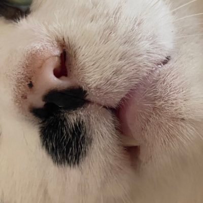大村しあさんのプロフィール画像