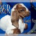 R&R Goat farm (@randrgoatfarm) Twitter profile photo R&R Goat farm (@randrgoatfarm) Twitter profile photo